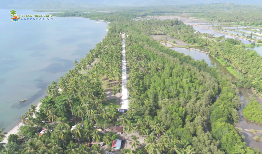 Banaybanay Beach Property