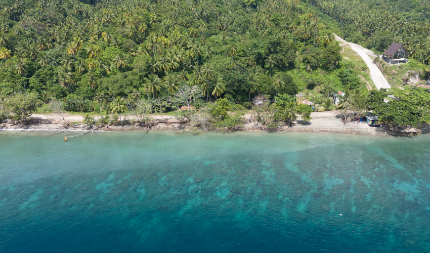 Samal Beach Properties